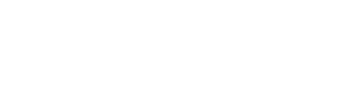 vivalyx_hero_logo